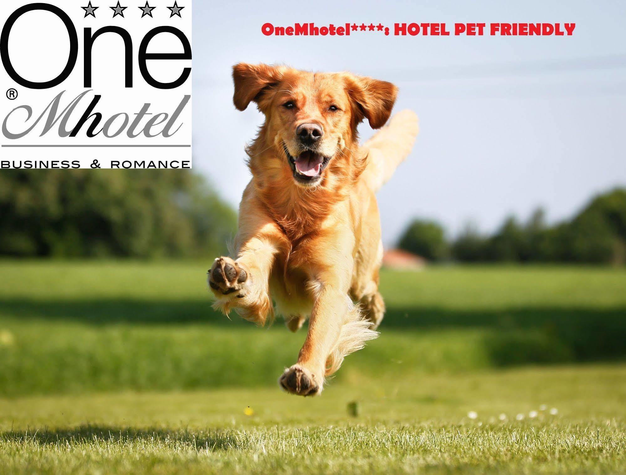 Onemhotel 산파올로 외부 사진